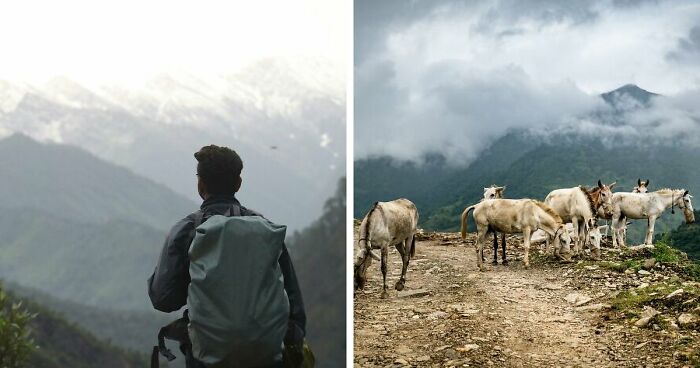 Kufri: The Quieter Side Of Himachal That Stole My Heart
