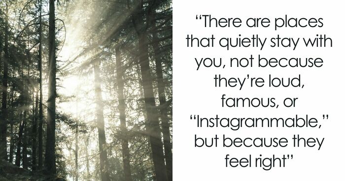 Kufri: The Quieter Side Of Himachal That Stole My Heart