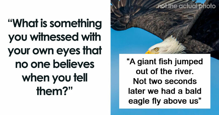 51 True Stories That Sound So Bizarre That Nobody Believes These People
