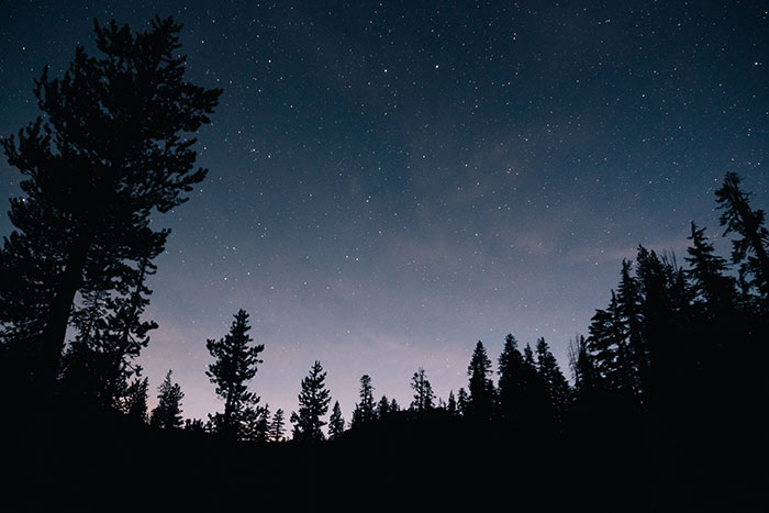 Starry night sky over a dark forest silhouette, evoking a sense of mystery and unexplainable sightings outdoors.