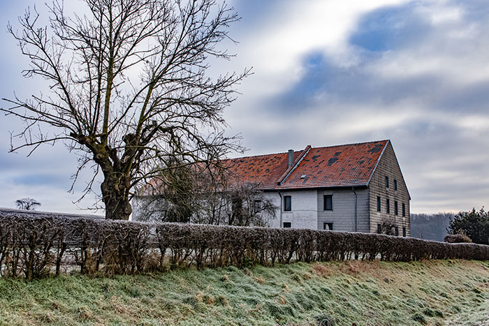 Rural scene with a frosty field, leafless tree, and old house under a cloudy sky in an unexplainable setting.