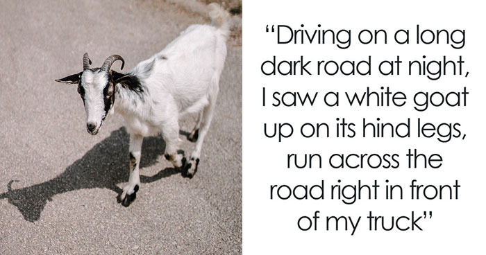 53 Of The Most Bizarre Things People Have Seen Or Experienced In Their Lives