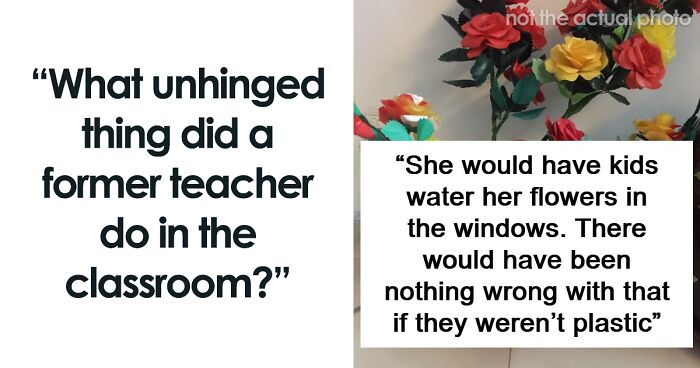 48 People Share The Weirdest Teacher Behavior They Witnessed In Class
