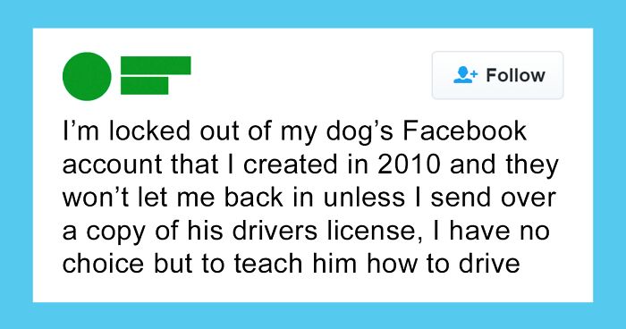 50 Random Memes For Anyone Who Needs A Pick-Me-Up Today (New Pics)