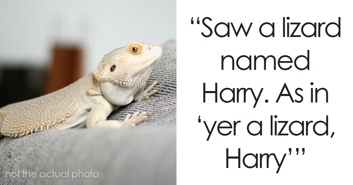 65 Times Vets Heard Such Brilliant And Bizarre Pet Names That They Just Had To Share Them