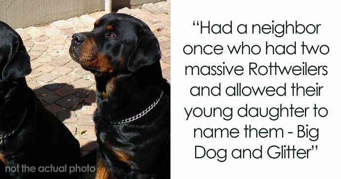 “Veterinarians, What Are The Funniest Pet Names You've Had Come Into Your Clinic?” (65 Stories)