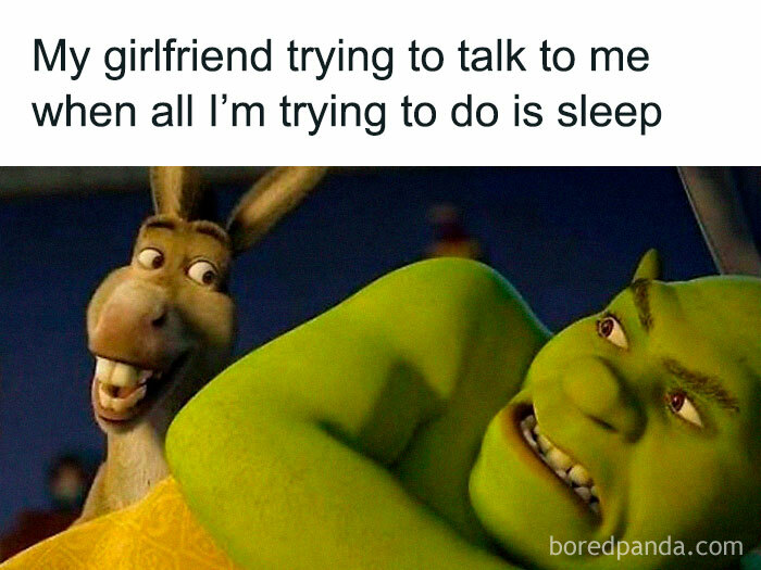 Shrek and Donkey meme illustrating a girlfriend trying to talk while boyfriend just wants to sleep, loving memes for girlfriend.