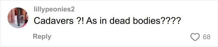 Social media comment questioning use of cadavers and dead bodies in BBLs and breast implants conversation. Social media comment questioning use of cadavers and dead bodies in BBLs and breast implants conversation.
