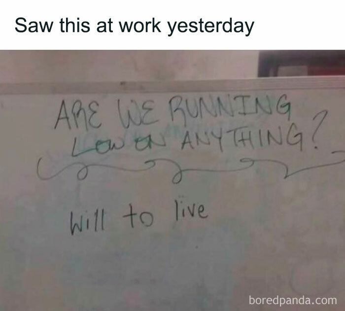 Work meme on whiteboard asking if anything is low, answered with will to live, blending humor and reality.