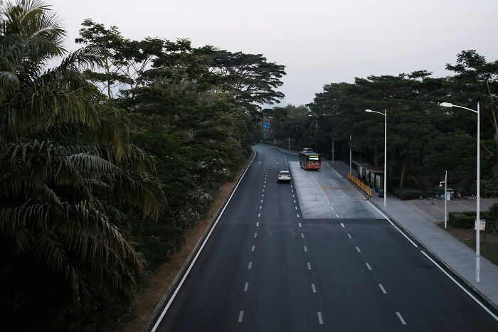 A nearly empty urban street with a bus and car, surrounded by trees, illustrating people in boring industries.