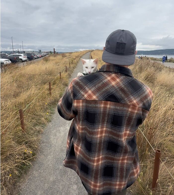 This Guy Thought He Was A “Dog Person” Until Rescue Kitten Lilo Changed His Mind This Guy Thought He Was A “Dog Person” Until Rescue Kitten Lilo Changed His Mind