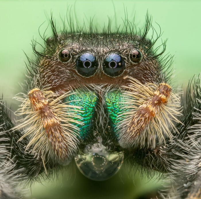 "Quenched Thirst" By Lane Kirstein