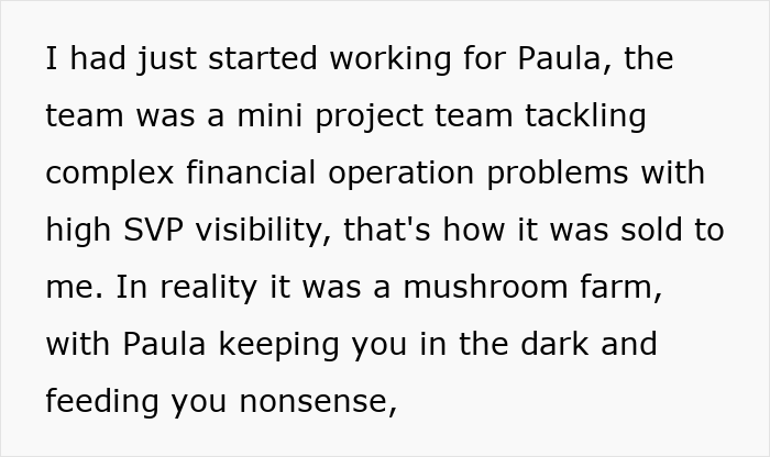 Text excerpt about a team tackling financial problems with high SVP visibility, highlighting workplace deception by a boss.