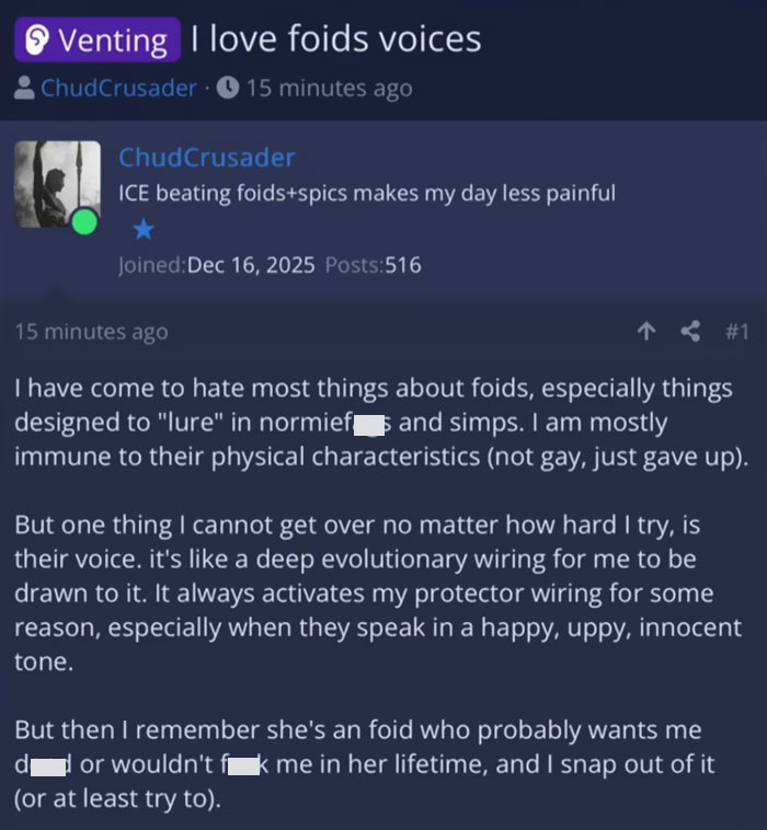 Screenshot of an incel forum post revealing hateful language and toxic views encountered by women going undercover.