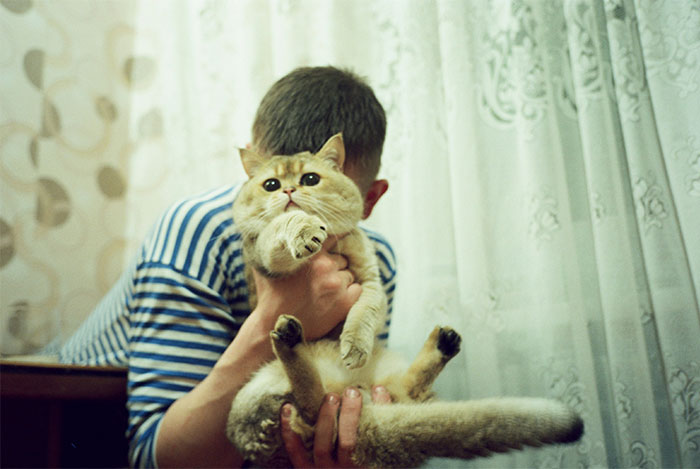 Child holding a cat indoors near curtains, symbolizing sibling conflict and no consequences parenting challenges.