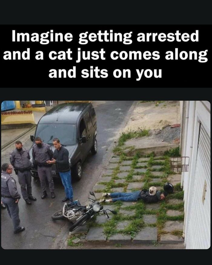 Man lying on grass patch with a cat on him near police and motorcycle in a random entertaining and unhinged meme.