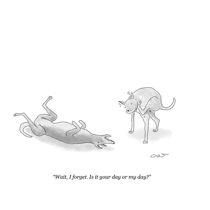 Minimalist comic showing two dogs humorously confused about whose day it is in a simple black and white drawing.