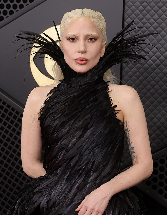 Lady Gaga in a black feathered dress amid Grammy performance, sparking chatter over ties with Epstein after new files release.