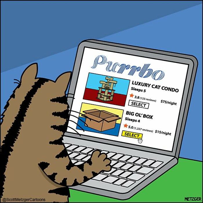 Cat browsing online options for sharing a home in comics depicting life with cats and dogs.