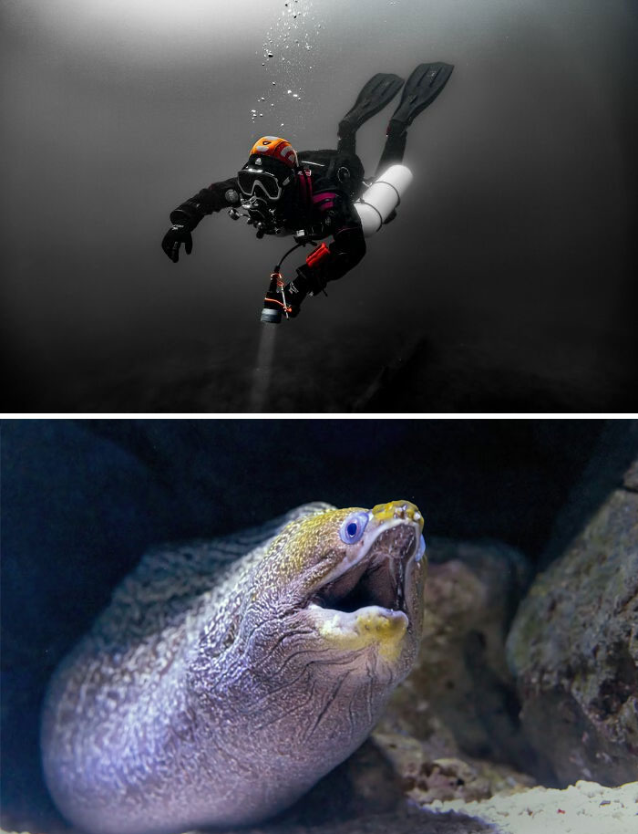 45 Times People Who Work With The Dead Were Disgusted, Creeped Out And Frightened