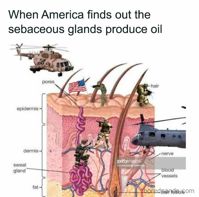Diagram of skin layers humorously depicting soldiers and helicopters invading sebaceous glands with the American flag, highlighting oil production meme.