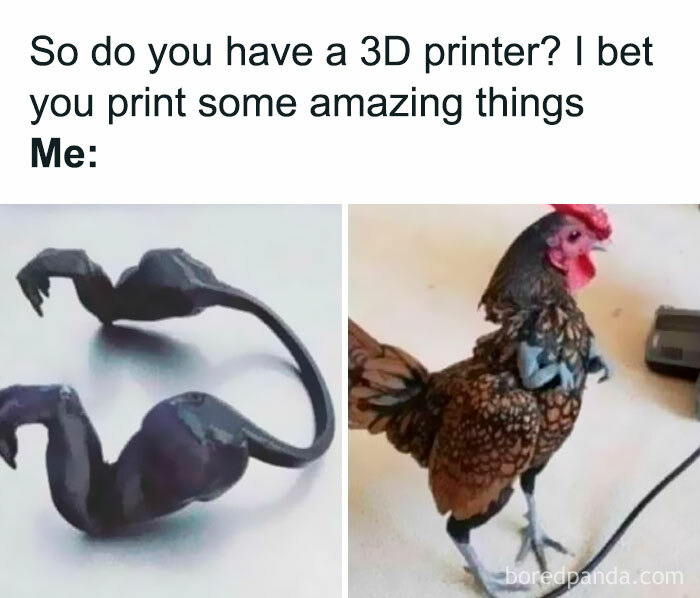 Meme showing a 3D printed abstract shape next to a real chicken with a humorous caption about 3D printing.