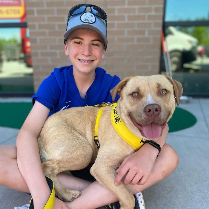 This 14-Year-Old Boy Has Helped Thousands Of Shelter Dogs Find Homes, And His Mission Started When He Was Just 4 (31 Pics)