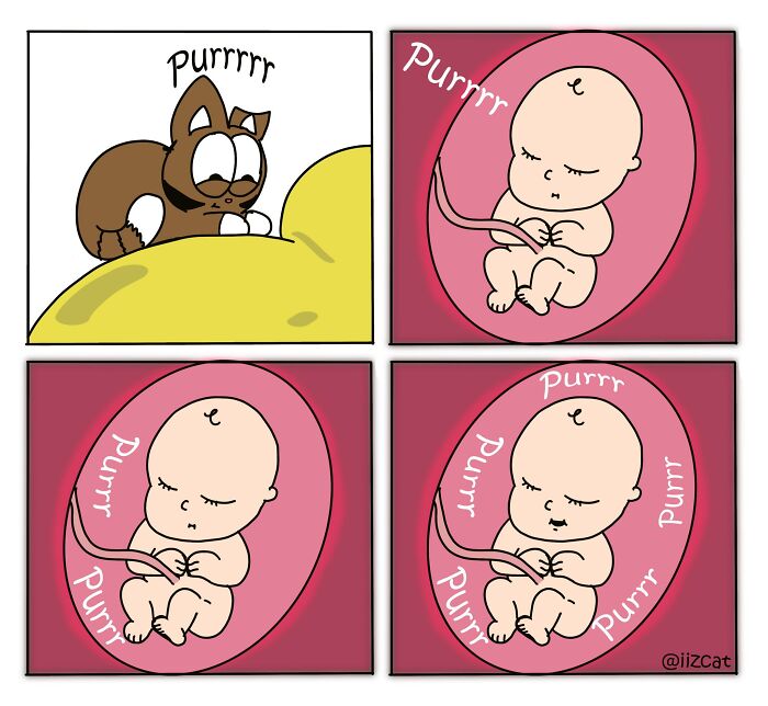 This Artist Turns The Chaos Of Living With A Cat Into Hilariously Relatable Comics (30 Comics)