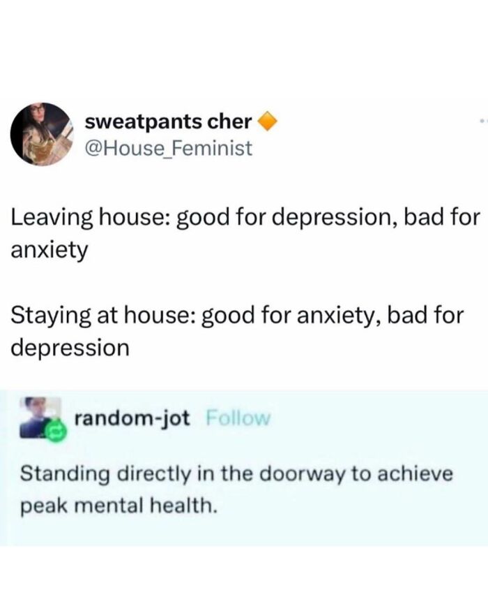 Screenshot of a random meme about mental health balancing anxiety and depression from entertaining unhinged memes.