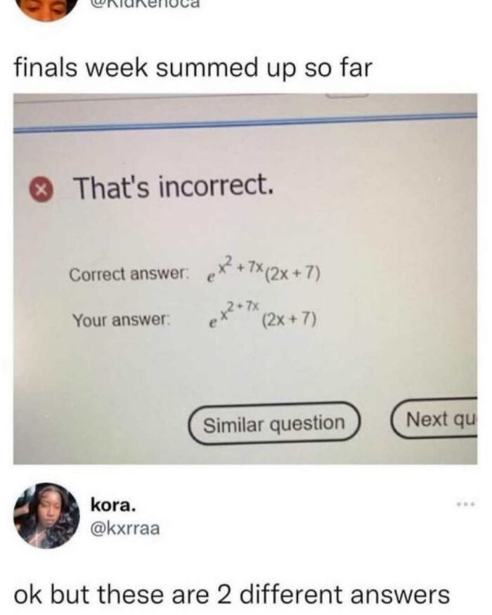 Math exam screenshot with incorrect answer notification and a meme about random memes being entertaining and unhinged.