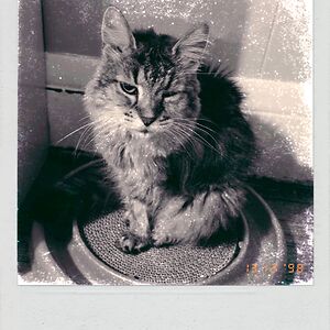 grooveisintheheart5 avatar