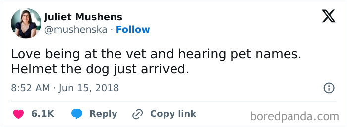 Tweet by Juliet Mushens sharing a funny pet name Helmet the dog, illustrating ridiculous pet names people shared.