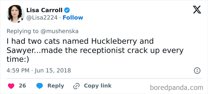 Tweet showing a user sharing funny pet names Huckleberry and Sawyer, part of ridiculous pet names shared online.