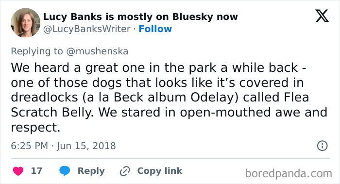 Tweet sharing a ridiculous pet name Flea Scratch Belly for a dog with dreadlocks, highlighting unusual pet names people share.