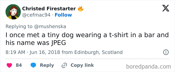Screenshot of a Twitter post sharing a ridiculous pet name, showing humorous and unusual pet names people had to share.