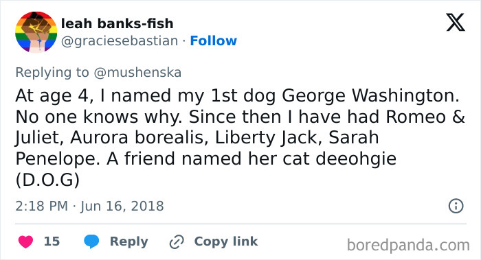 Tweet sharing ridiculous pet names including George Washington, Romeo & Juliet, Aurora borealis, and a cat named deehogie.