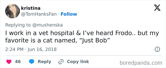 Tweet sharing a ridiculous pet name from a vet hospital worker mentioning a cat named Just Bob among funny pet names.