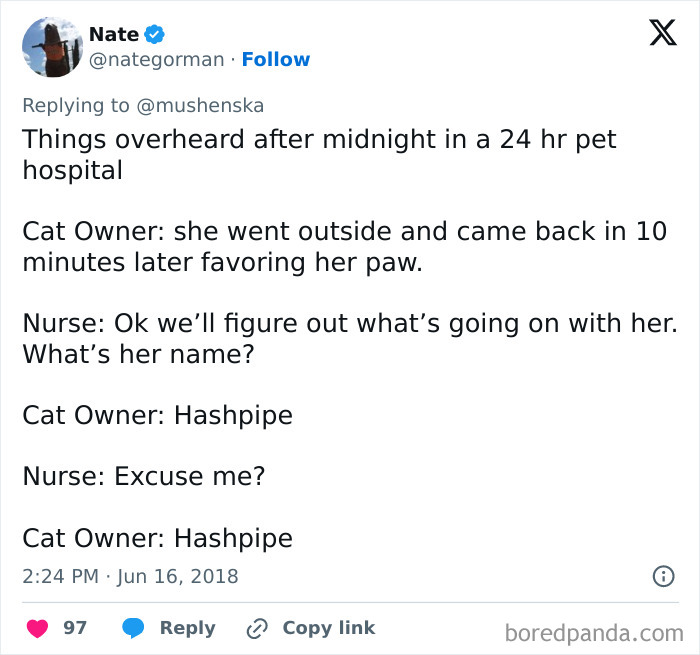 Tweet showing a funny pet name Hashpipe shared in a conversation at a 24-hour pet hospital, highlighting ridiculous pet names.
