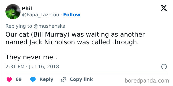 Tweet showing a funny example of ridiculous pet names where a cat is named Bill Murray and another called Jack Nicholson.