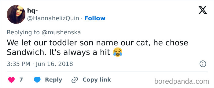 Screenshot of a social media post where a toddler named a cat Sandwich, showcasing ridiculous pet names shared online.