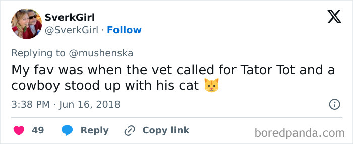 Tweet showing a funny pet name Tator Tot shared in a thread about ridiculous pet names people just had to share.