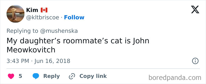 Screenshot of a social media post sharing a ridiculous pet name, John Meowkovitch, highlighting unique pet names.
