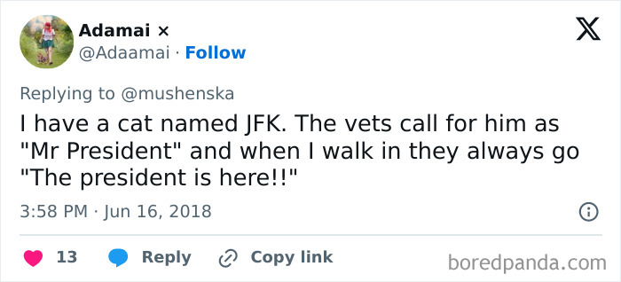 Tweet showing a ridiculous pet name for a cat called JFK, humorously nicknamed Mr President by the vet.