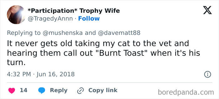 Tweet sharing a ridiculous pet name Burnt Toast used for a cat at the vet, highlighting funny pet names people share online.