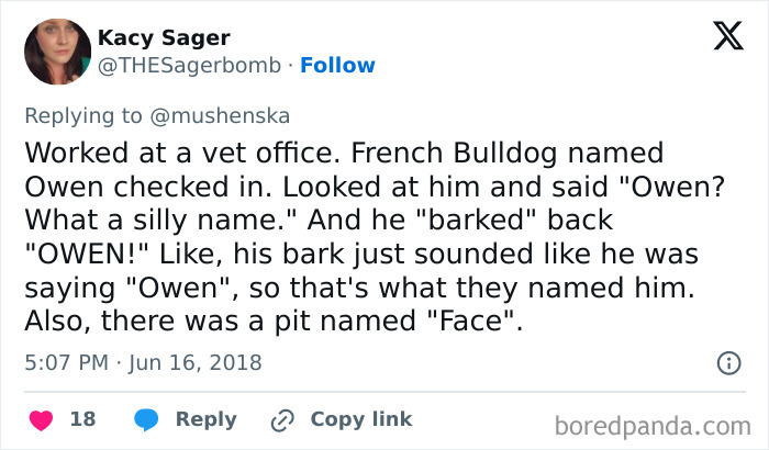 Tweet about ridiculous pet names including a French Bulldog named Owen and a pit bull named Face at a vet office.