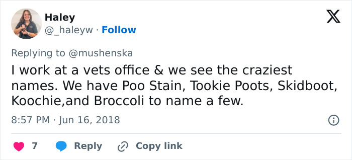 Tweet from Haley sharing ridiculous pet names seen at a vet’s office, including P*o Stain, Tookie Poots, and Skidboot.