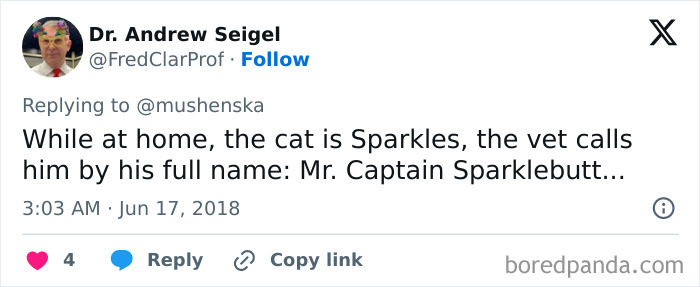 Screenshot of a tweet sharing a funny ridiculous pet name, Mr. Captain Sparklebutt, for a cat named Sparkles.