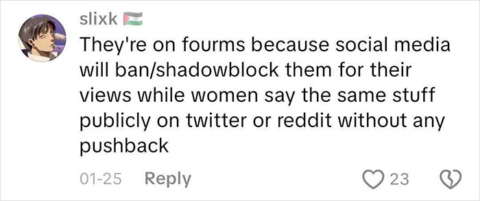 Comment discussing incel forums' social media bans and women's ability to speak freely on Twitter and Reddit.