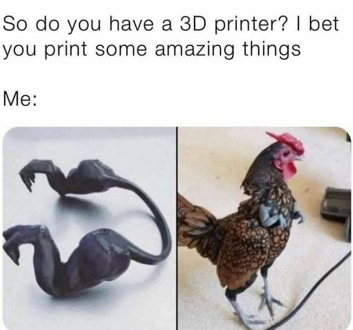 Meme showing a 3D printed abstract shape next to a real chicken with a humorous caption about 3D printing.