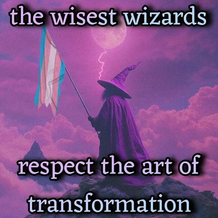Wizard dressed in purple holding a flag with pastel colors against a pink cloudy sky, humorous meme about transformation.